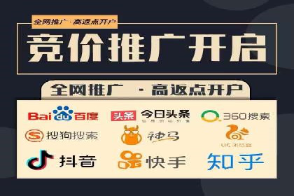 百度搜索引擎优化推广：成功案例揭秘